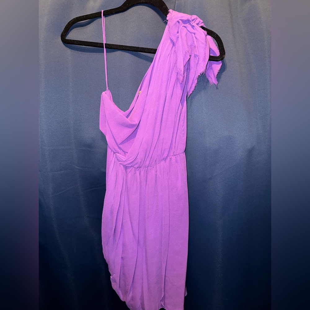 Alice + Olivia Purple Chiffon dress